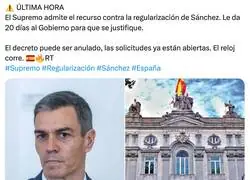 Admitir el recurso no significa anularlo. Pero la oportunidad de anulaci&oacute;n existe y es real.   Lo m&aacute;s probable es que tarde 12-18 meses en resolverse, y para entonces ya habr&aacute;n regularizado a cientos de miles