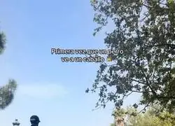 Es de total URGENCIA ver este v&iacute;deo, despu&eacute;s de tanta maldad necesitamos ver algo realmente bonito. Ocurri&oacute; en Madrid