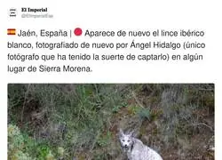 M&iacute;ralo el t&iacute;o, qu&eacute; aura desprende