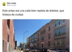 Han quitado los &aacute;rboles para que el sol te d&eacute; de frente y as&iacute; no veas el desastre