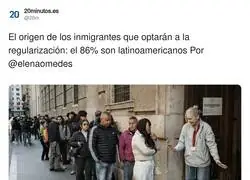 Haciendo cola para el papeleo como si fuera el concierto de Bad Bunny