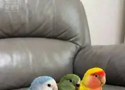 Yolanda D&iacute;az entrenando a sus sobrinos por si @vitoquiles los roza