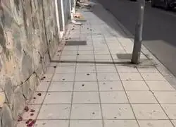 As&iacute; ha quedado la calle Largo Caballero de Almer&iacute;a, despu&eacute;s de las colas de la regularizaci&oacute;n&hellip;