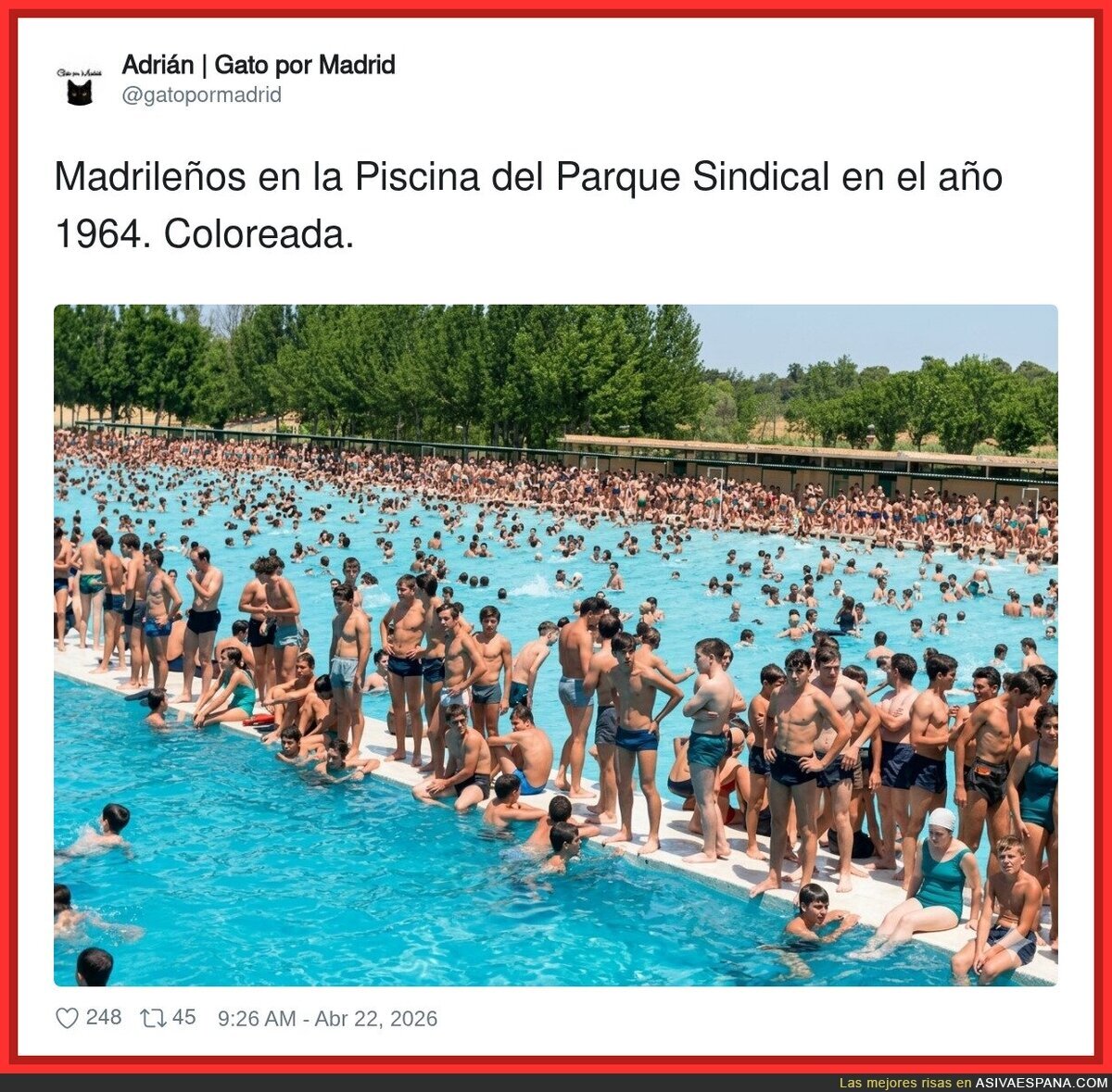 Hay muchas cosas que me sorprenden de esta foto