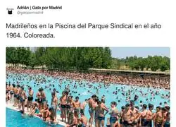 Hay muchas cosas que me sorprenden de esta foto