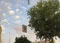 As&iacute; me mira la croqueta cuando lleva 4 minutos en el aceite