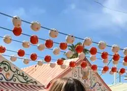 El rodillo del lavadero de coches escap&aacute;ndose para ir a la feria: