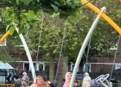 Ojal&aacute; pudiera decir que esto es IA
