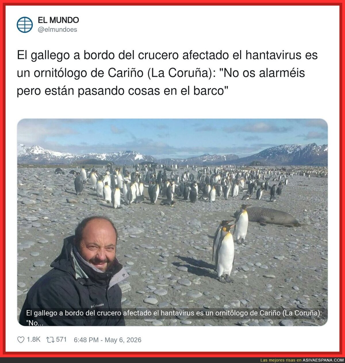 Se vienen cositas