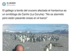 Se vienen cositas