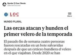 Empieza la temporada de orcas comunistas