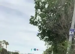 El marroqu&iacute; yihadista que acababa de asesinar a una ni&ntilde;a en Barcelona campando a sus anchas sin que los Mossos hagan nada