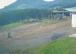 Un granjero adopt&oacute; a un perrito para ahuyentar jabal&iacute;es, pero prefiri&oacute; sentarse a ver c&oacute;mo el jabal&iacute; persegu&iacute;a a su due&ntilde;o