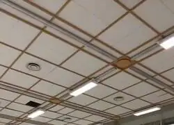 La causante de la crisis del HANTAVIRUS viendo que todo el planeta habla de ella