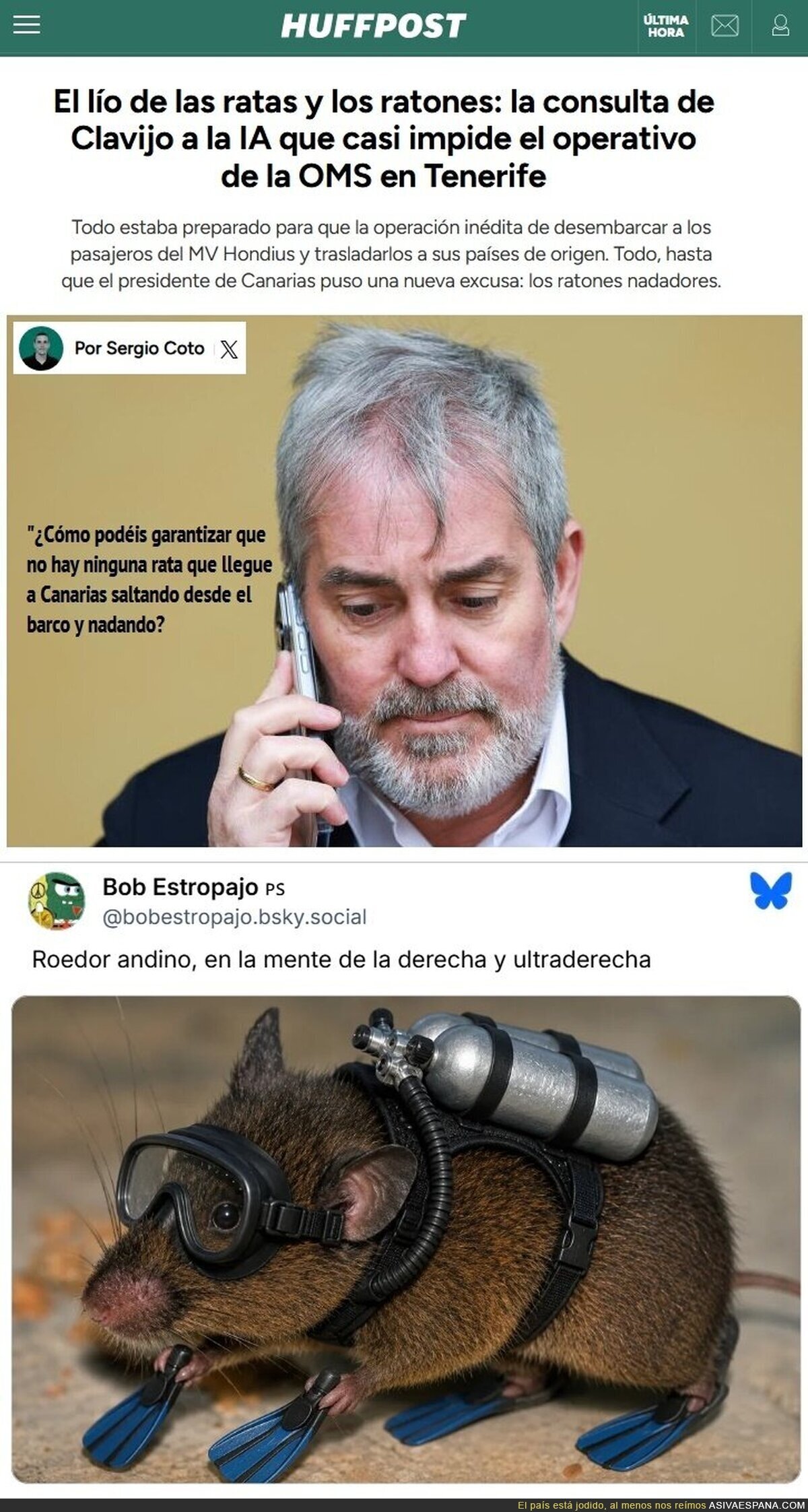 Clavijo, la IA y las ratas nadadoras