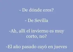 Sevilla y sus cuatro estaciones