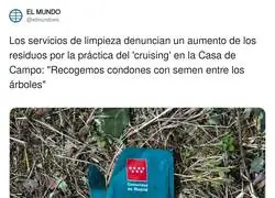 La Casa de Campo descubriendo nuevas formas de reciclar que la naturaleza no pidi&oacute;
