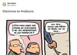 Andaluc&iacute;a: estrategia electoral