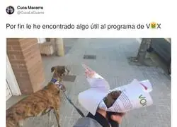 Algo es algo