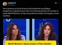 Poner a una experta en pandemias como Maril&oacute; Montero junto a Ayuso s&oacute;lo pod&iacute;a acabar de una manera