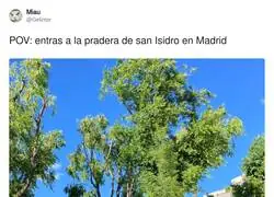 Cuando dices que vas al Retiro a relajarte pero acabas en la tienda de amuletos peruanos comprando cosas raras