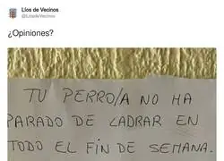 Cuando tu perro argumenta mejor que t&uacute; en Twitter
