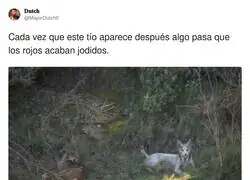 Cuidado con el lince blanco