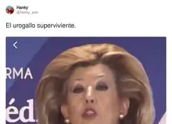 El urogallo superviviente