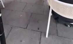Esto se hace para avergonzar al que se sienta solo en una mesa. Los que ocupan una mesa en solitario cuestan todos los a&ntilde;os 600 mil millones a la hosteler&iacute;a