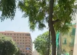 Tiene hasta un calbo para sostenerle el m&oacute;vil mientras simula un v&iacute;deo selfie improvisado