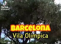 Si quieres acampar cerca del mar o de un parque, no te gastes el dinero en un camping, ven a Barcelona
