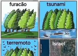 Cat&aacute;strofes que causan grandes destrucci&oacute;n
