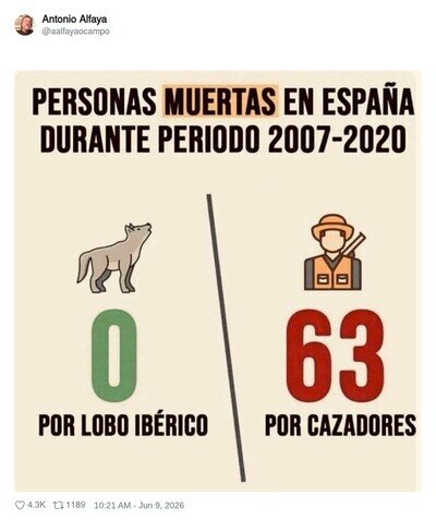 Quiz&aacute;s haya que hac&eacute;rselo mirar
