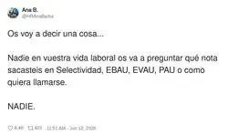 Nadie pregunta por tu expediente acad&eacute;mico
