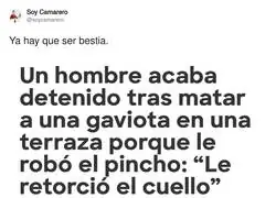 Qu&eacute; cosas tiene la vida