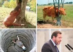 Alguna vez has visto una foto y has pensado &iquest;c&oacute;mo ha podido acabar ah&iacute;?