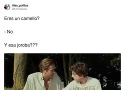 No t&iacute;o, es oregano para la pasta, de verd&aacute;
