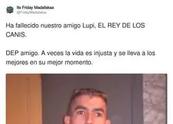 Un icono, la imagen de una &eacute;poca, la personificaci&oacute;n de esa transici&oacute;n del bakala 90s al cani 00s