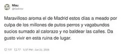 Madrid: donde los perros tienen m&aacute;s derechos que los vecinos