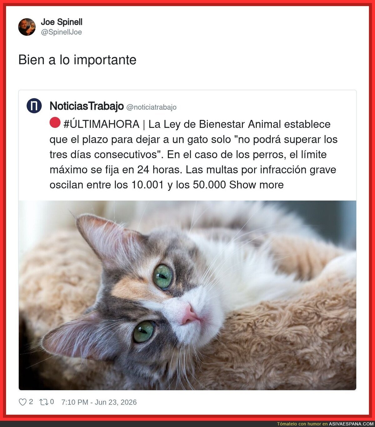 Los gatos: "tres d&iacute;as? rookie numbers"