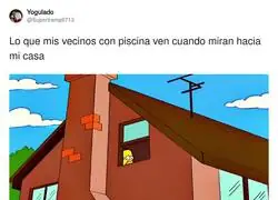ENVIDIA