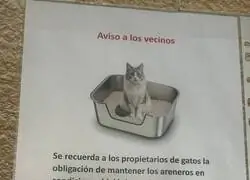 Areneros y porros