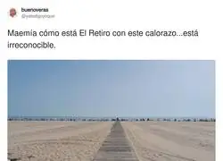 Lo de quitar los &aacute;rboles ha salido regul&iacute;n