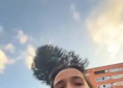 Mi odio a las palomas se resume en este video
