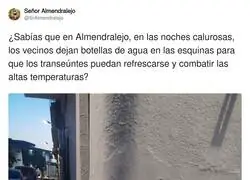 Bebedlas guiris, bebedlas, si hay l&iacute;quido amarillo no os preocup&eacute;is, son vitaminas