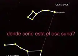Aqu&iacute; buscando la Osa Suna