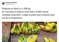 Nos toman por tontos