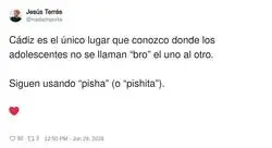 Gaditanos, se os quiere