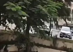 Cada uno aparca como quiere