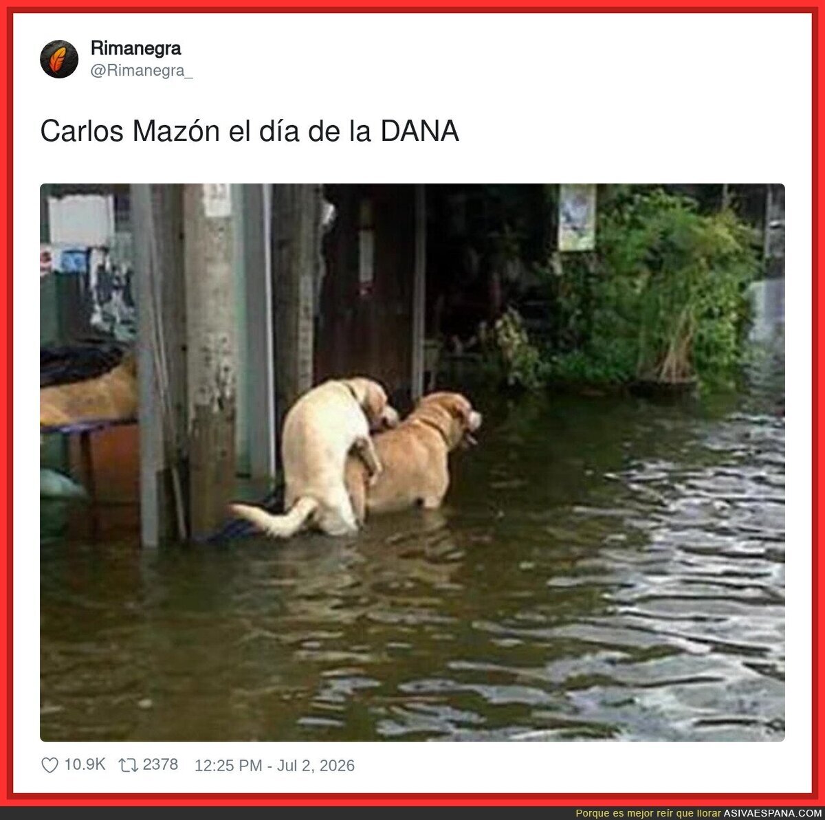Nunca una imagen explicó tanto